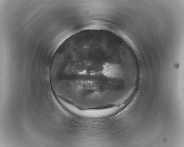 X0000094171329200711020931