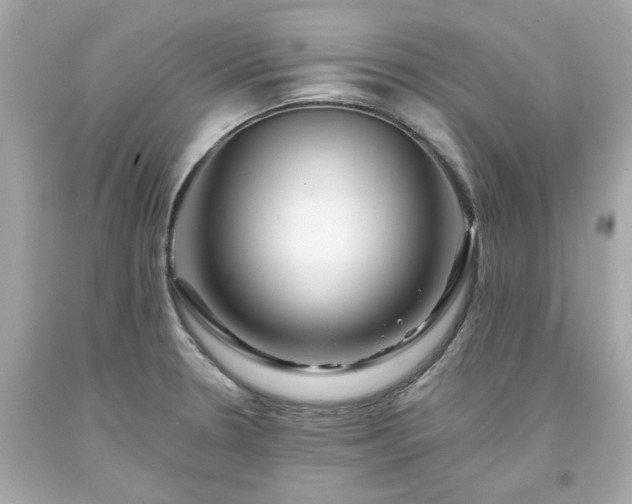 X0000094171330200711020931