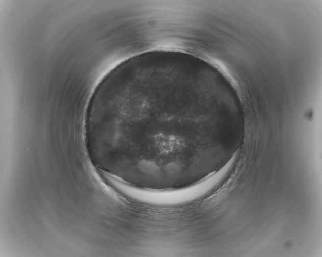 X0000094171331200711020931