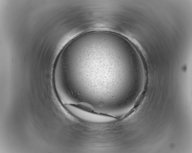 X0000094171333200711020931