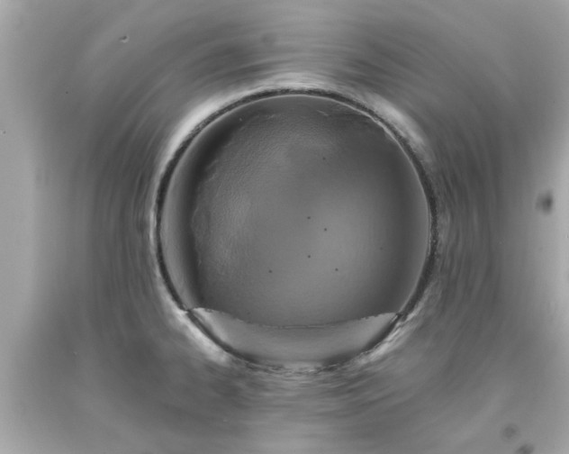 X0000094171334200711020931