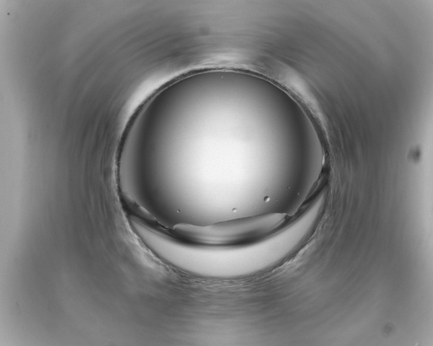 X0000094171336200711020932