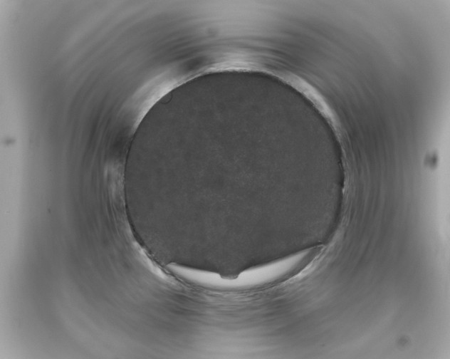 X0000094171337200711020932