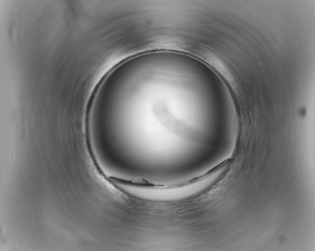 X0000094171339200711020932