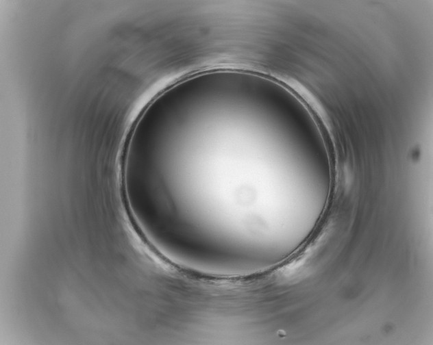 X0000094171341200711020932