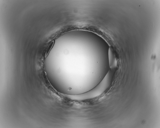 X0000094171349200711020931