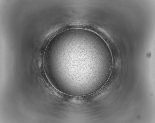 X0000094171350200711020931
