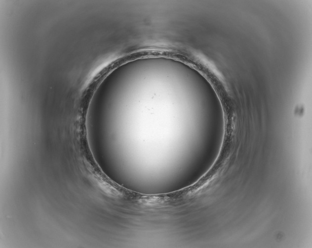 X0000094171352200711020931