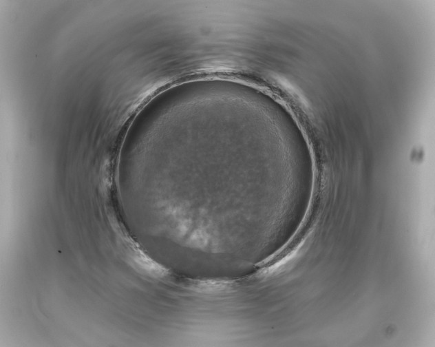 X0000094171353200711020931