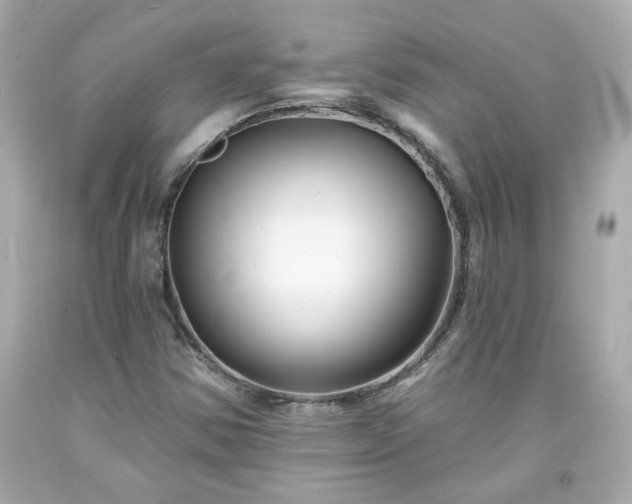 X0000094171354200711020931