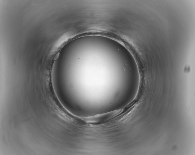 X0000094171355200711020931
