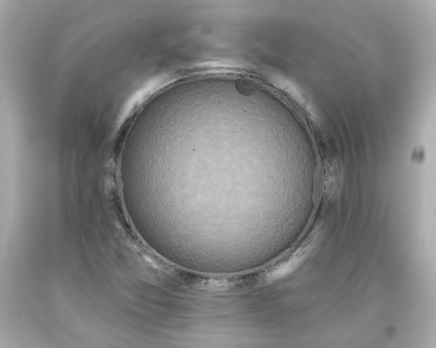 X0000094171357200711020931