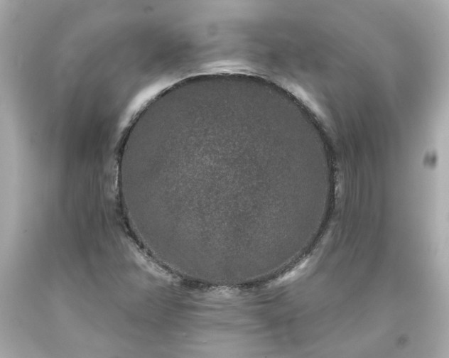 X0000094171358200711020931