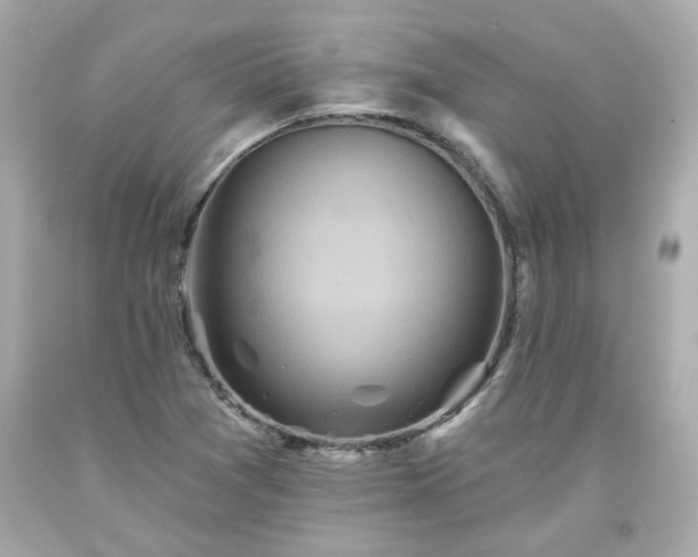 X0000094171361200711020931