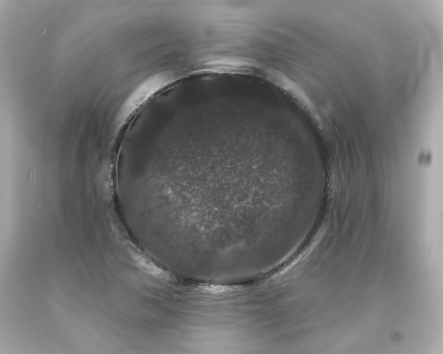X0000094171362200711020931