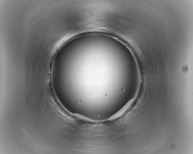 X0000094171363200711020931