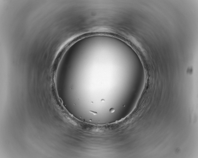 X0000094171364200711020931