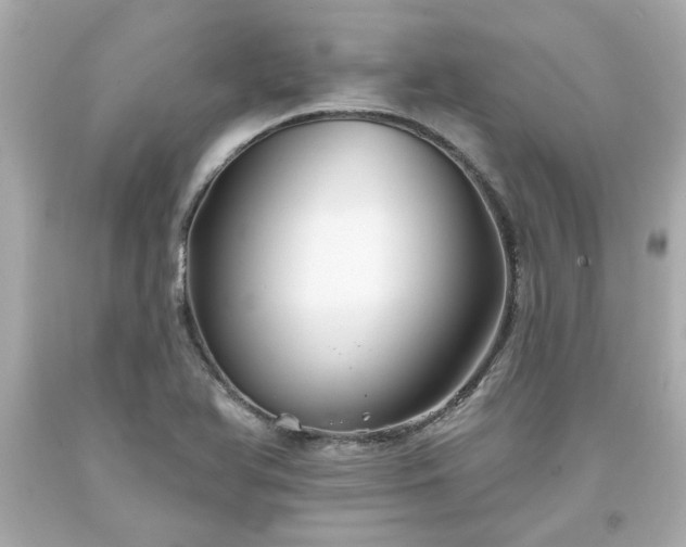 X0000094171366200711020931
