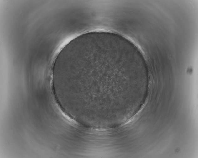 X0000094171367200711020931