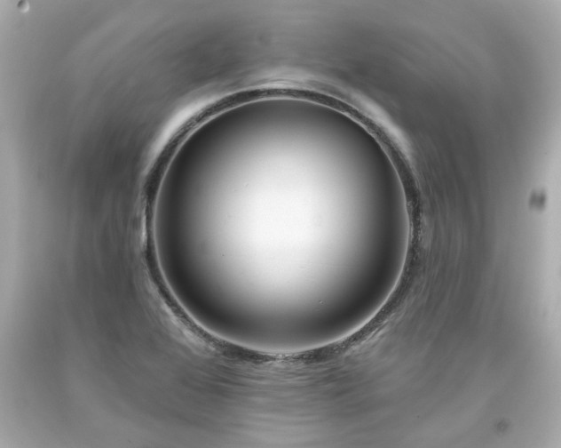 X0000094171368200711020931