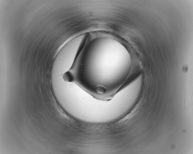 X0000094171369200711020931