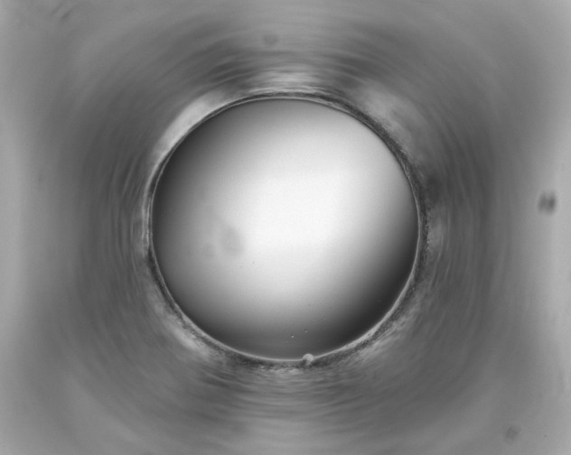 X0000094171370200711020931