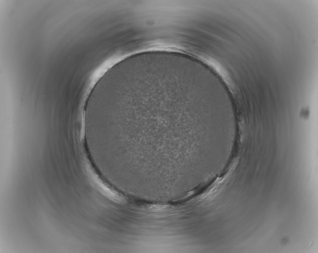 X0000094171371200711020931