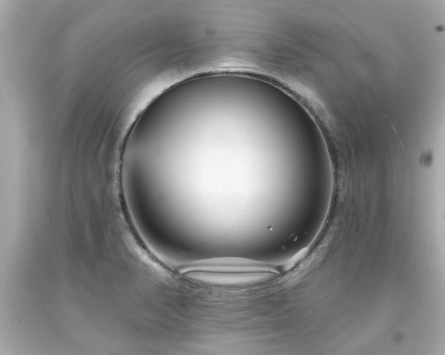 X0000094171374200711020931