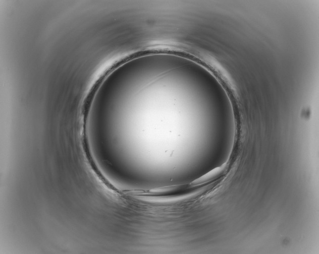 X0000094171376200711020931