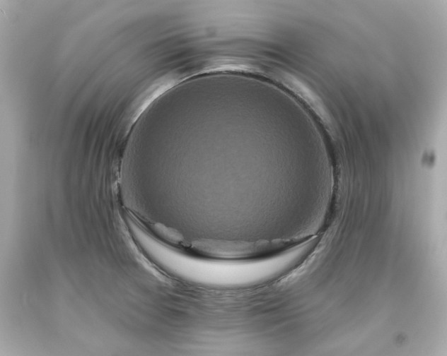 X0000094171377200711020931