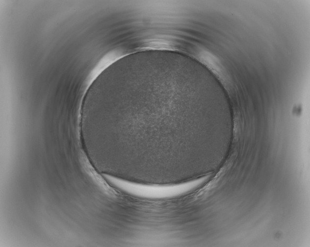 X0000094171378200711020931