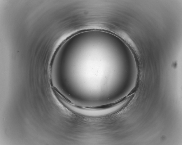 X0000094171380200711020930