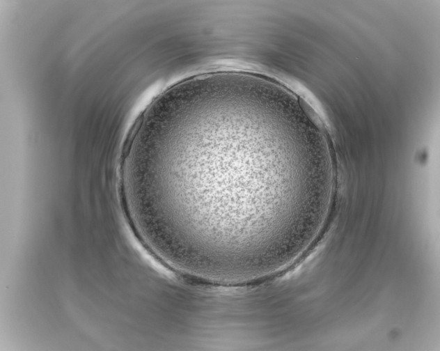 X0000094171381200711020930