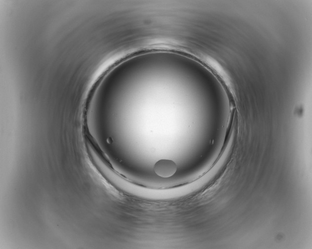 X0000094171384200711020930