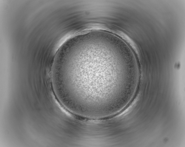 X0000094171385200711020930