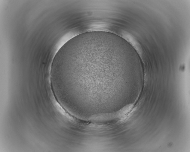 X0000094171386200711020930
