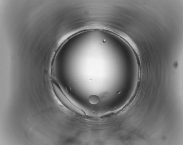 X0000094171388200711020930