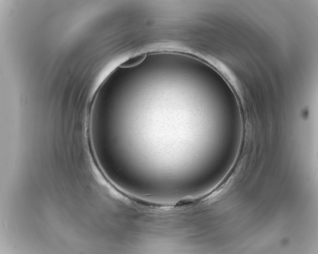 X0000094171390200711020930