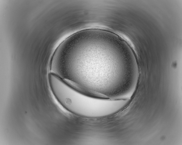 X0000094171391200711020930