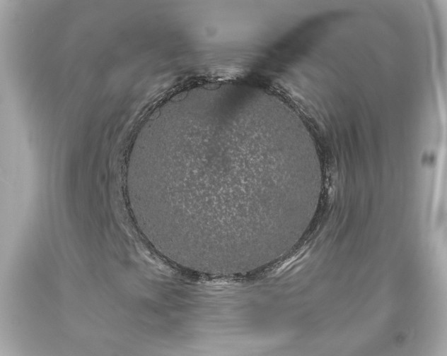 X0000094171393200711020930