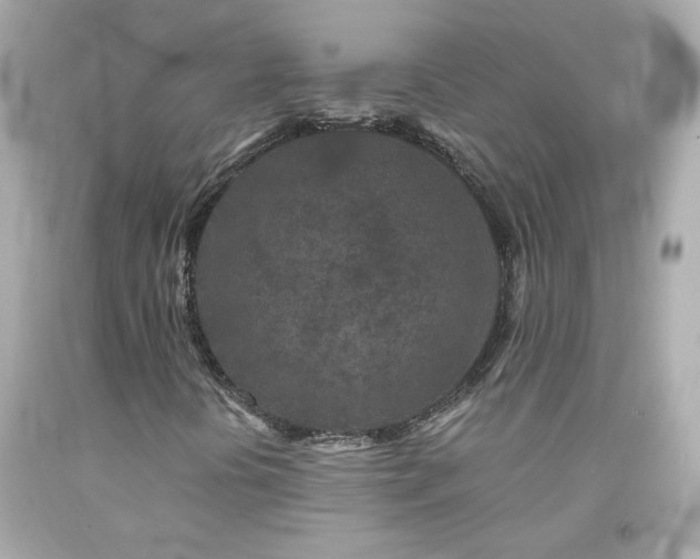 X0000094171394200711020930