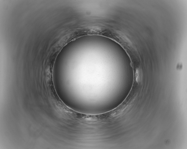 X0000094171395200711020930