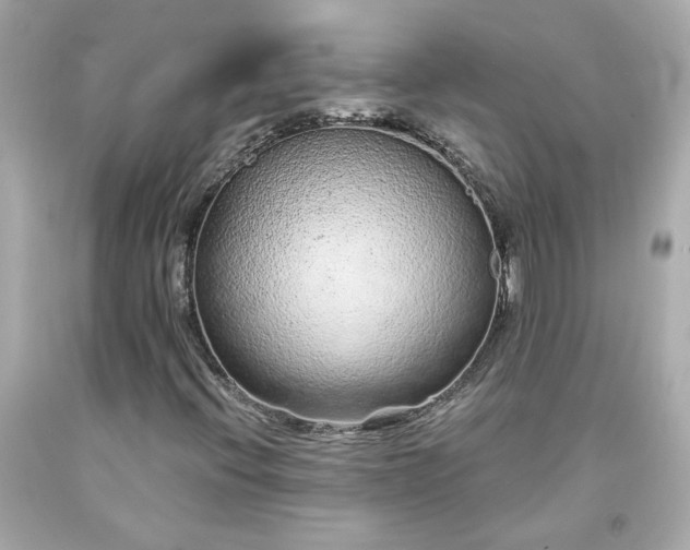 X0000094171396200711020930