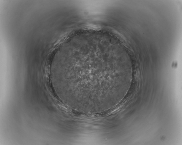 X0000094171397200711020930
