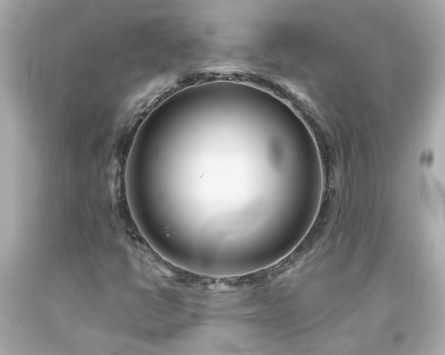 X0000094171398200711020930