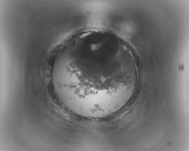 X0000094171399200711020930