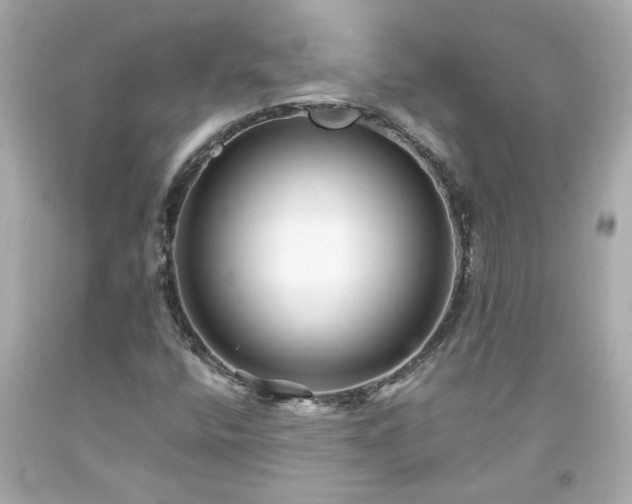 X0000094171400200711020930