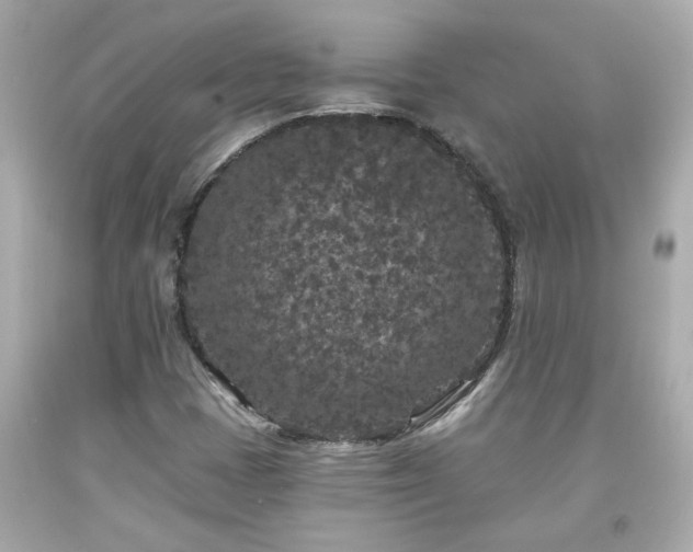 X0000094171401200711020930
