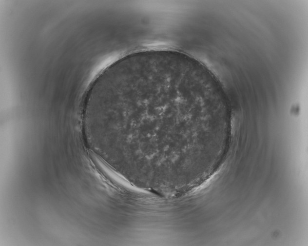 X0000094171405200711020930