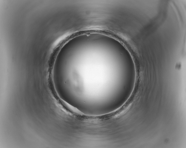 X0000094171406200711020930